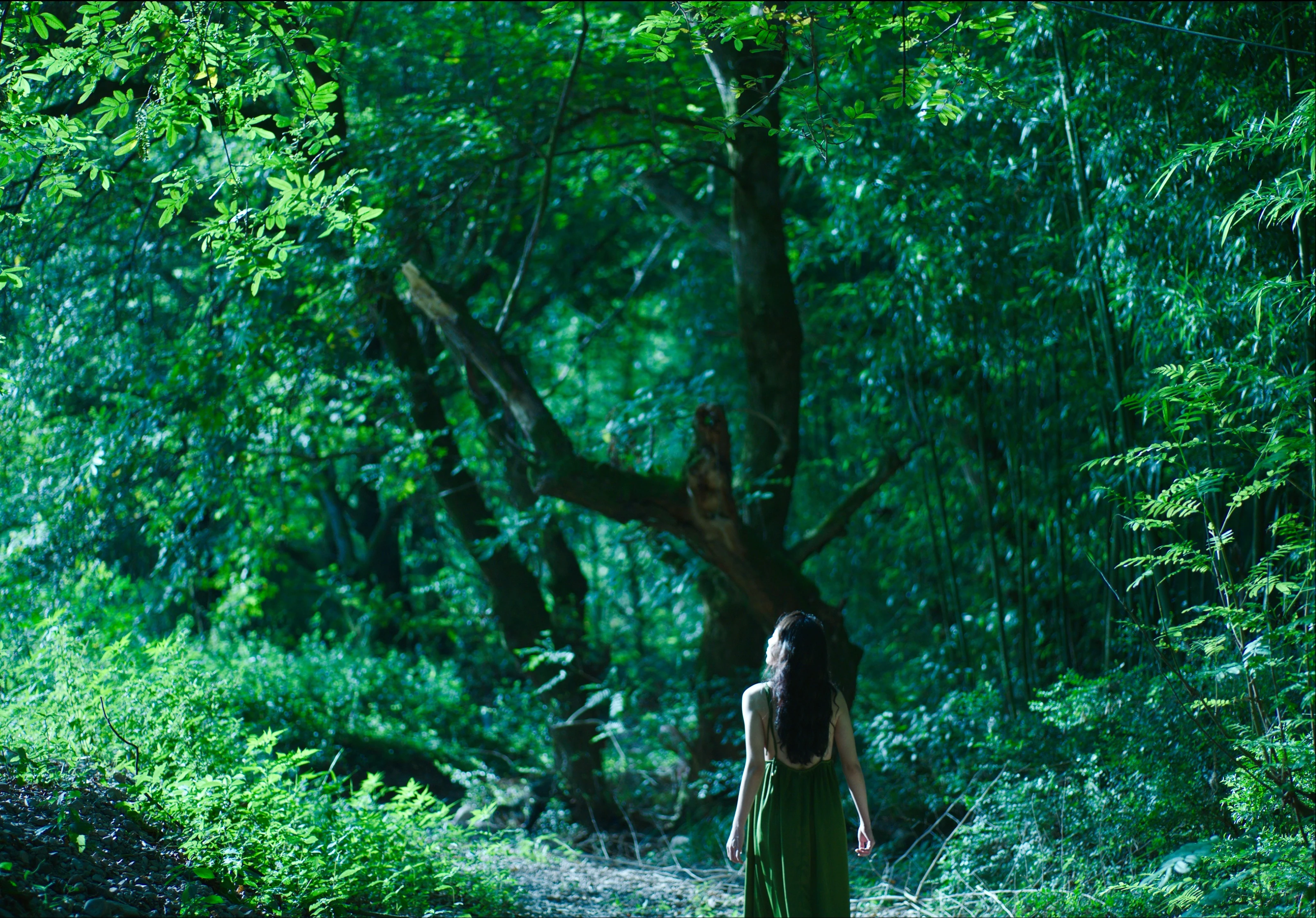 UNTITLED still 6