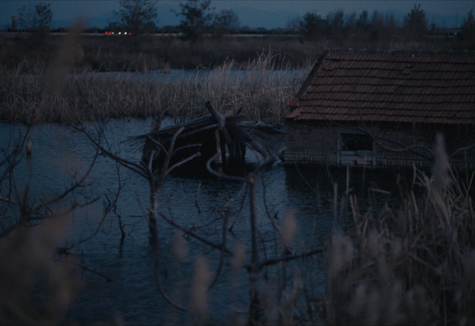 YU ER still 2